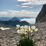 בית נופש Kristi בובק