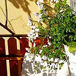 בית נופש Kristi בובק