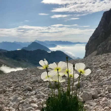 Holiday home Kristi Bovec