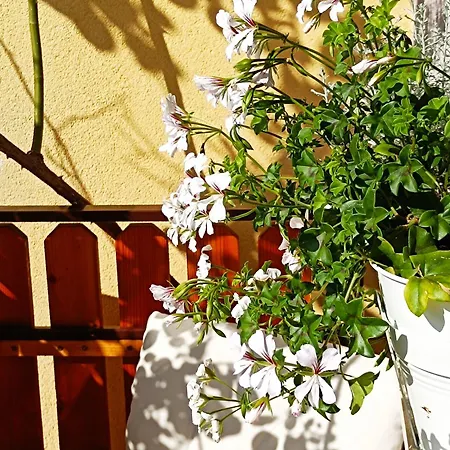 Holiday home Kristi Bovec