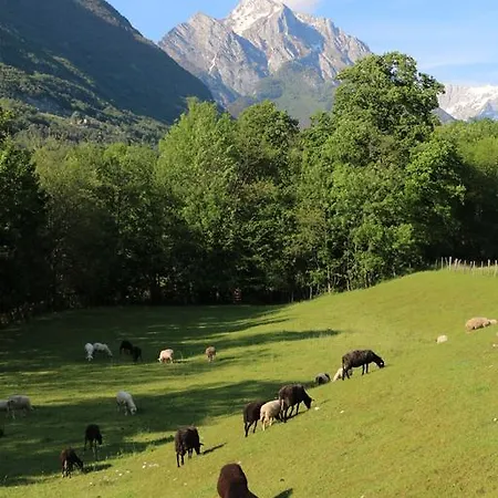 Počitniška hiša Kristi