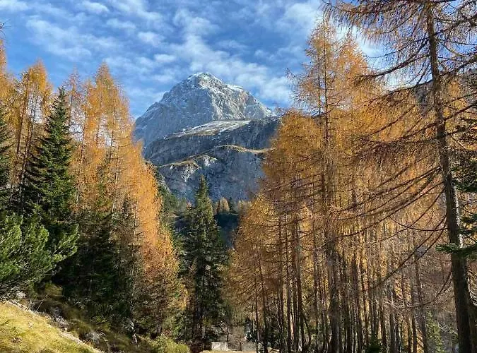 度假居 Kristi 博维茨