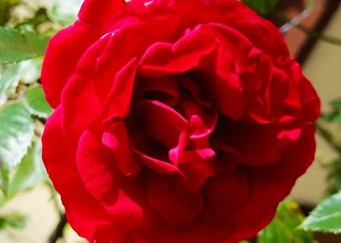 בית נופש Kristi *