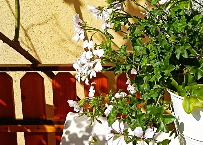 בית נופש Kristi בובק