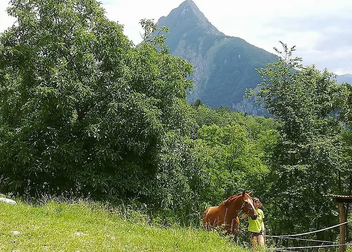 Kristi בית נופש